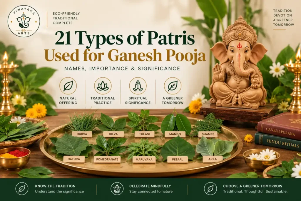21 Types of Patris